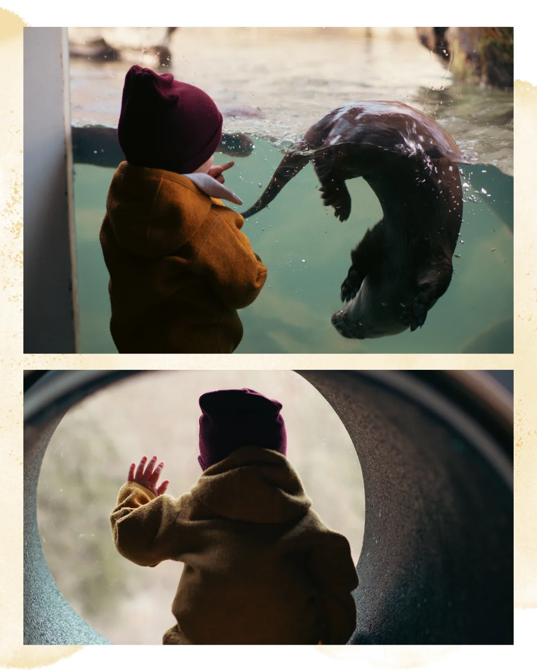 Moments photograph