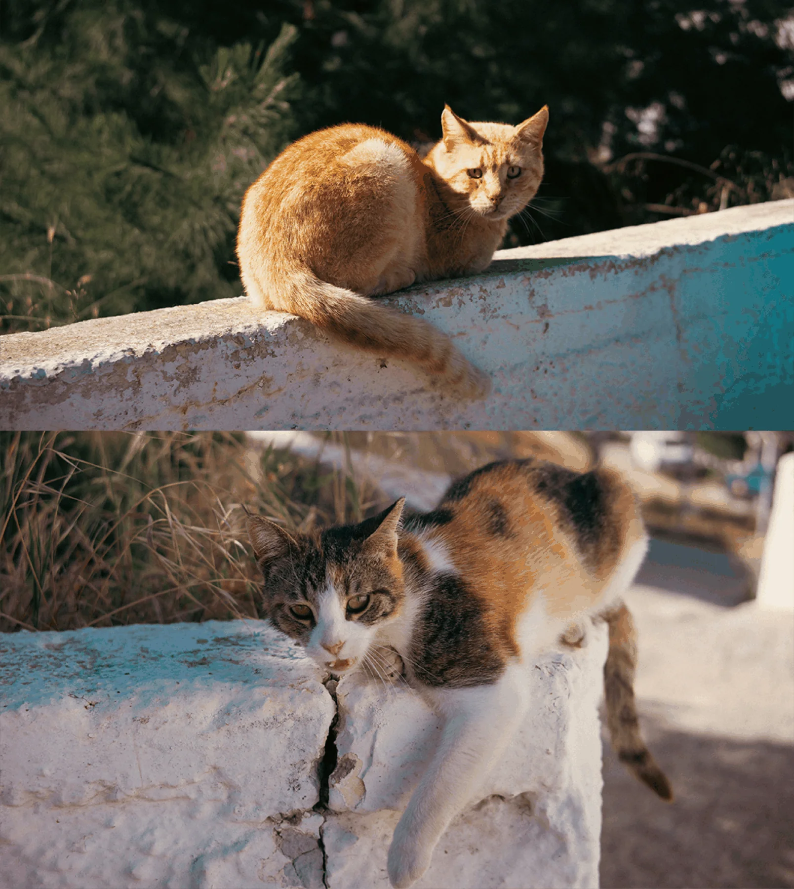 Places photograph