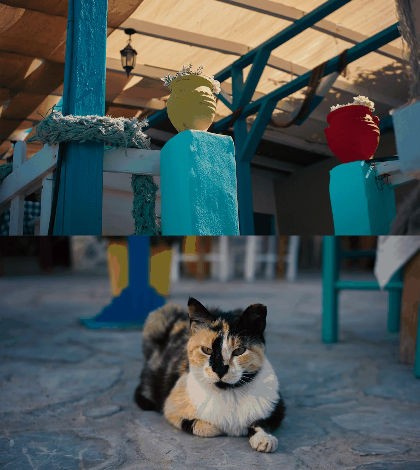Places photograph