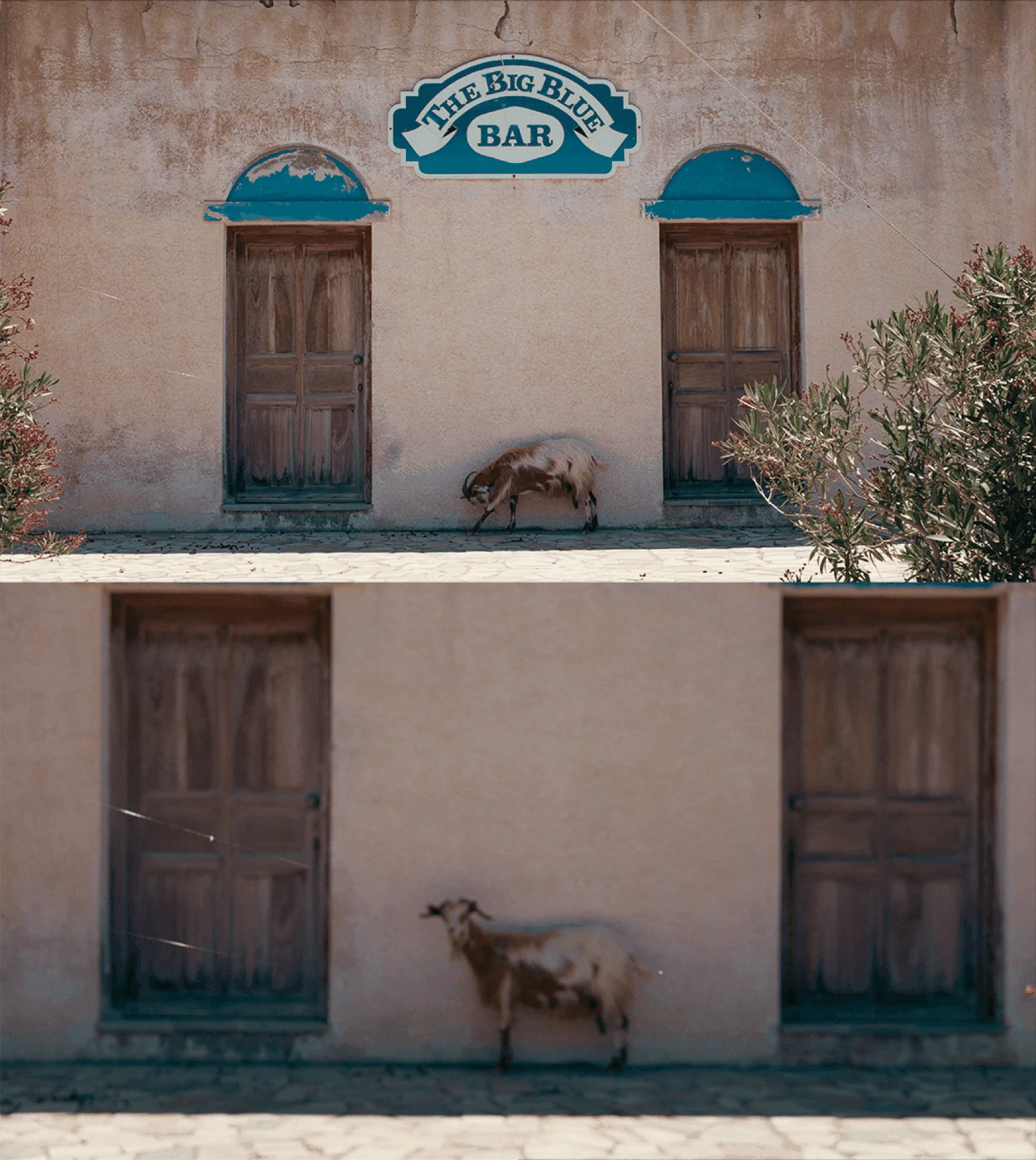 Places photograph