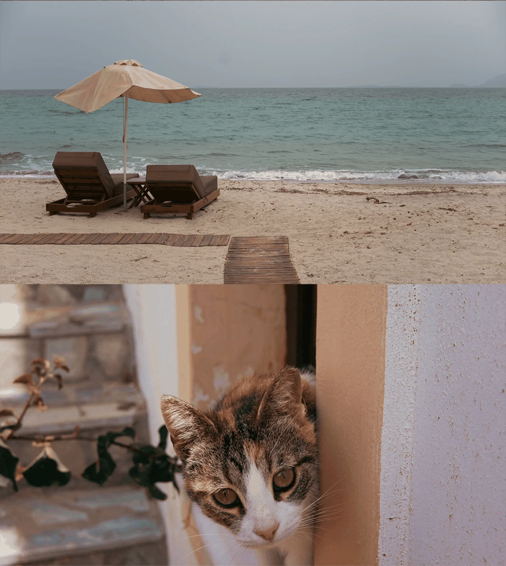 Places photograph